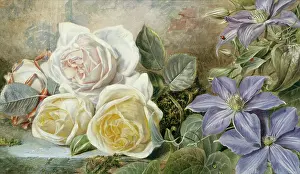 Clematis: Roses and Clematis