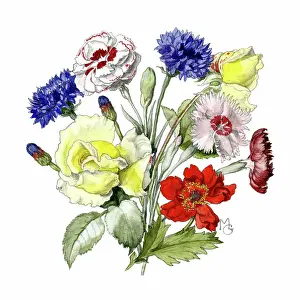 Cornflowers: Roses, cornflowers, pinks and geum