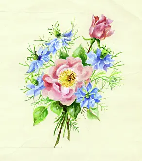 Ockenden: Roses and Love-in-a-Mist