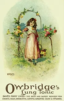 Owbridge: Roses