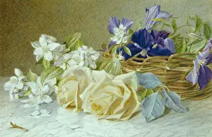 Clematis: Roses, Philadelphus blossom and clematis