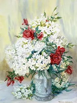 Phlox: Roses and Phlox