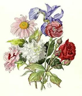 Pinks: Roses, Pinks and Iris