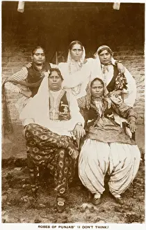 Unattractive: Roses of Punjab