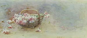 Trug: Roses in a trug basket