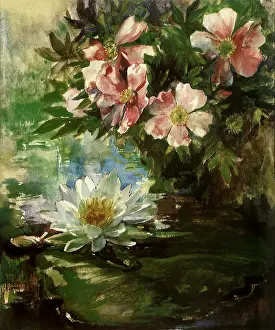 Farge: Roses and Water LIly