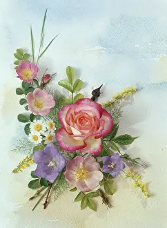 Pullen: Roses, white daisies, and campanulas etc