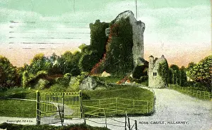 Kerry: Ross Castle, Killarney, County Kerry