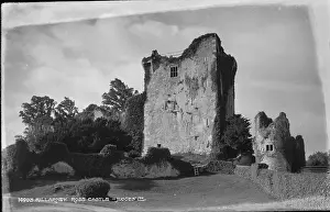 Kerry: Ross Castle Ruins