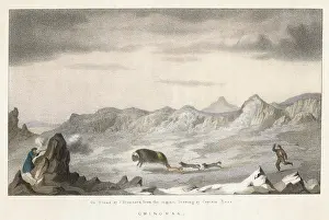 Harpoons: ROSS/KILLS A MUSK BULL