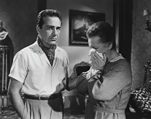 Rossano: Rossano Brazzi - celebrity - entertainment