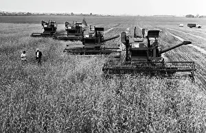 Kuibyshev: Rossiya Collective Farm