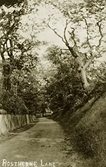 Altrincham: Rostherne Lane