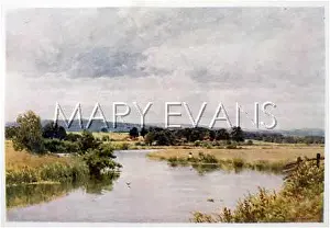 Rother: ROTHER RIVER, SUSSEX