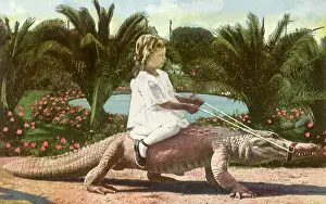 Controlling: Rough Rider
