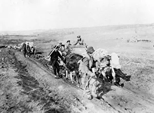 Fiel: Rough terrain in Serbia, 1915