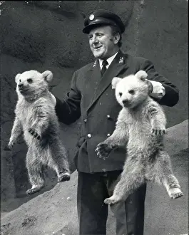 Tumble: Rough and Tumble, bear cubs, with head keeper Morton