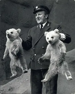 Introduces: Rough and Tumble, bear cubs, with head keeper Morton