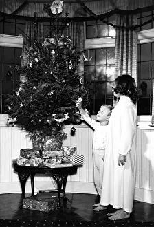 Admiring: ROUND THE CHRISTMAS TREE