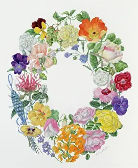 Fuchsia: The Round ? flower design