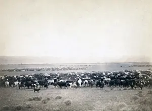 Grabill: Round-up at Moss Agate, Dakota Territory. ?