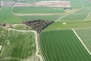 Roundway: Roundway Down, Wiltshire