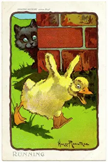 Rountree: ROUNTREE DUCKLING 1