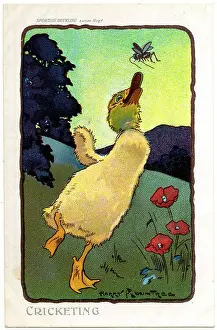 Rountree: ROUNTREE DUCKLING 6