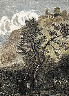 Rousseaus: ROUSSEAU HOME ERMITAGE