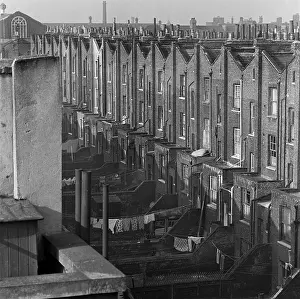 Row Of Back Gardens