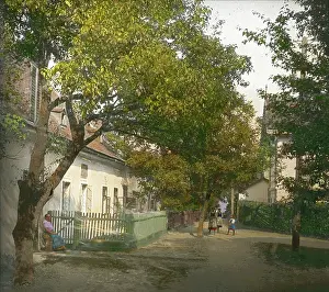 Kahlenberg: A row of houses in the Josefsdorf