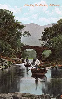 Sarcastic: Rowing boats on river in Killarney, Ireland