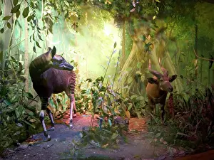 The Rowland Ward Diorama