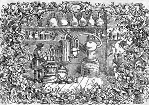 Distillation: Rowlands Aqua d'Oro - Distilling Perfume