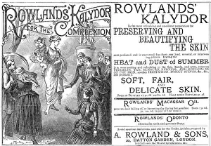 Macassar: Rowlands Kalydor advertisement, 1887