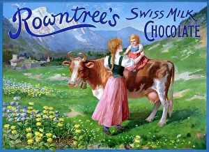 Rowntree: Rowntree's Chocolate