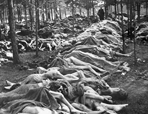 Anti Semitic: Rows of bodies at Nazi-German Belsen Concentration