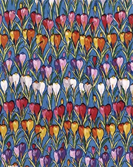 Bulbs: Rows of Flowers Repeat