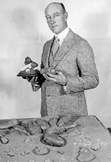 Addition: Roy Chapaman Andrews with dinosaur eggs, 1925