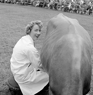 Milks: The Royal Show 1954