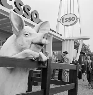 Wollaton: The Royal Show 1955