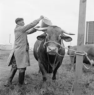 Wollaton: The Royal Show 1955