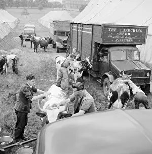 Wollaton: The Royal Show 1955