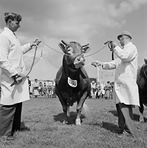 Showground: The Royal Show 1956