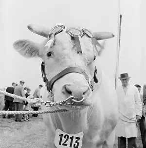 1213: The Royal Show 1957