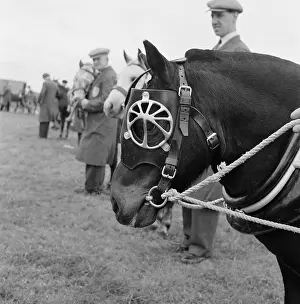 Brasses: The Royal Show 1958