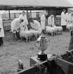 Assessed: The Royal Show 1958
