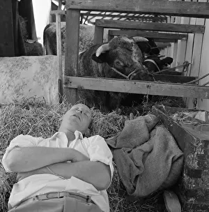 Winks: The Royal Show 1959