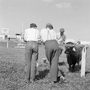Watered: The Royal Show 1959