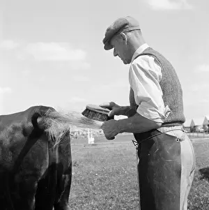 Brushed: The Royal Show 1959